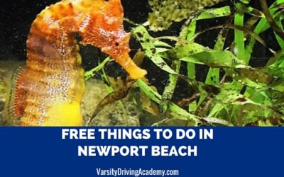 6 Free Things to Do in Newport Beach