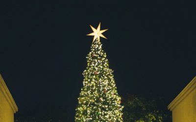 Things to do in Orange County in December 2018