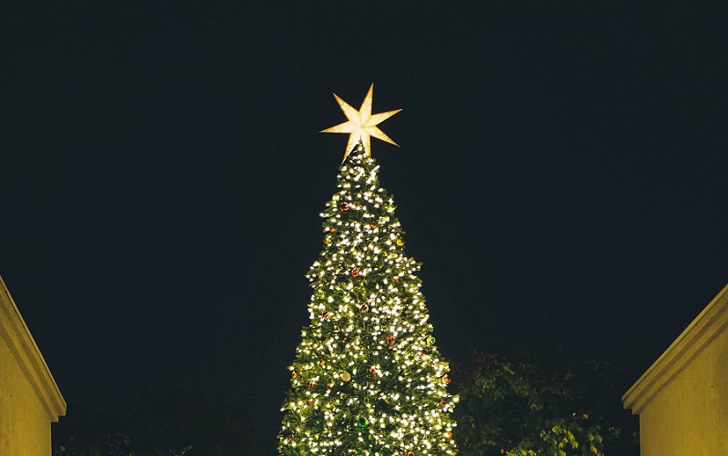 Things to do in Orange County in December 2018