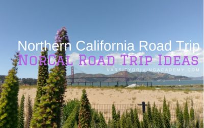 Northern California Road Trip Ideas: Beautiful NorCal Road Trips