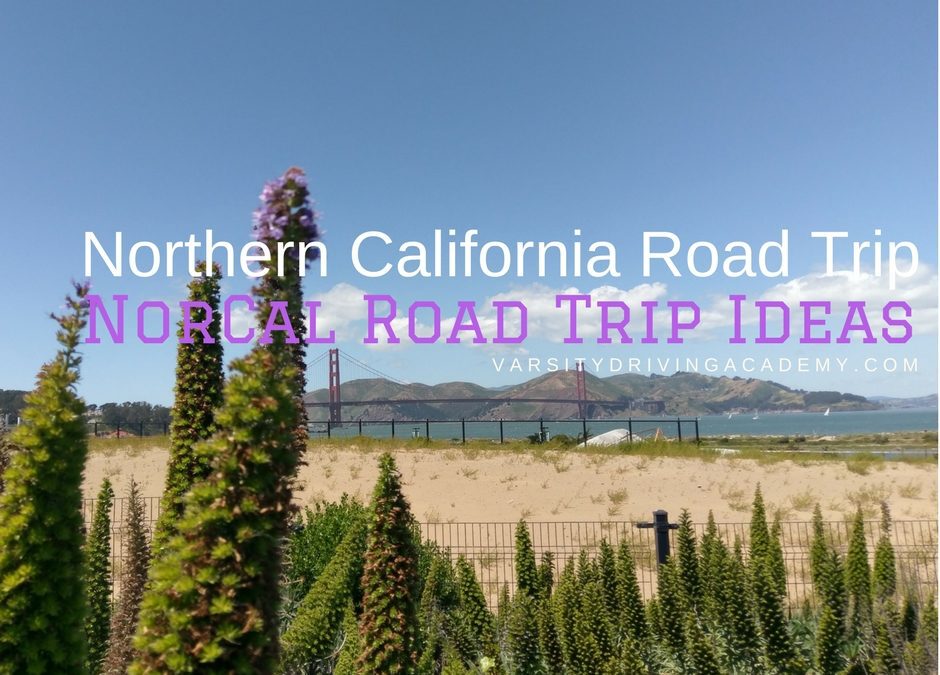 Spend your summer taking a beautiful Northern California road trip and discover why so many people love Norcal road trips.