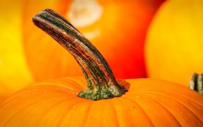 Halloween Events in Orange County for Teens 2018