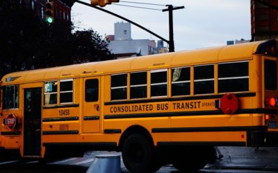 School Bus Protocols for Drivers