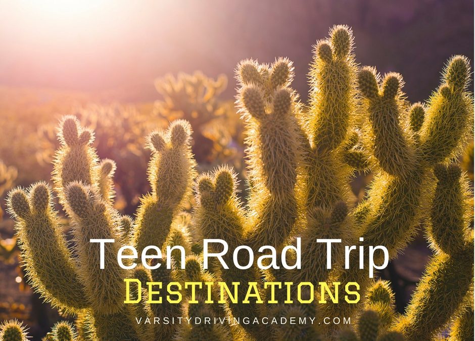 Pick one or more teen road trip destinations and let your teen take the wheel as they travel through new experiences and sights across the country.