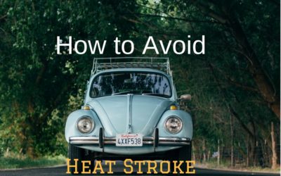 How to Avoid Heat Stroke in Your Vehicle