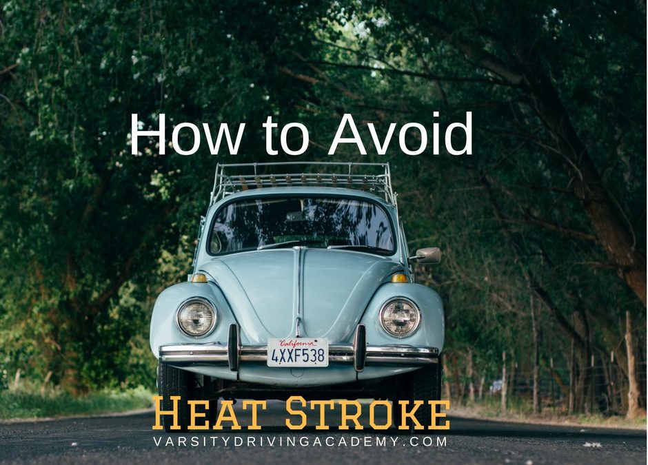 How to Avoid Heat Stroke in Your Vehicle